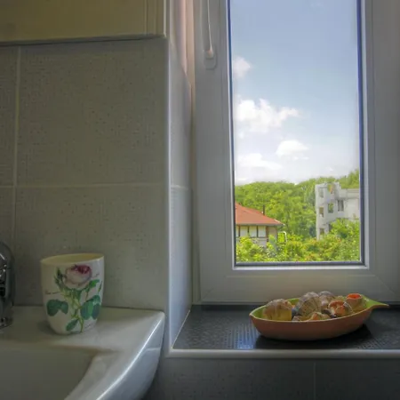 Vendégház Brancoveanu