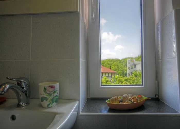 Vendégház Brancoveanu